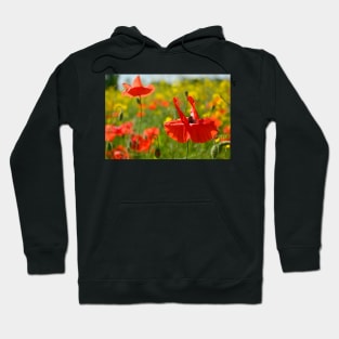 Wild Red Poppies Hoodie